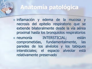 Anatomía patológica

   inflamación y edema de la mucosa y
    necrosis del epitelio respiratorio que se
    extiende bilateralmente desde la vía aérea
    proximal hasta los bronquiolos respiratorios
   neumonía         INTERSTICIAL;         están
    comprometidas, fundamentalmente, las
    paredes de los alvéolos y los tabiques
    intersticiales; el espacio alveolar está
    relativamente preservado
 