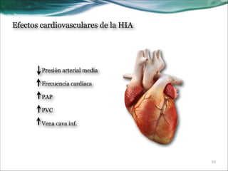 Efectos cardiovasculares de la HIA

Presión arterial media

!

Frecuencia cardíaca

!

PAP

!

PVC

!

Vena cava inf.

!23

 