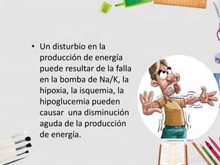 • Un disturbio en la
producción de energía
puede resultar de la falla
en la bomba de Na/K, la
hipoxia, la isquemia, la
hipoglucemia pueden
causar una disminución
aguda de la producción
de energía.
 