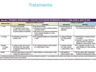 Tratamiento
 