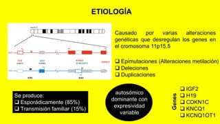 Sindrome de beckwith wiedemann | PDF