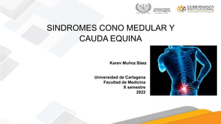 SINDROMES CONO MEDULAR Y
CAUDA EQUINA
Karen Muñoz Báez
Universidad de Cartagena
Facultad de Medicina
X semestre
2022
 