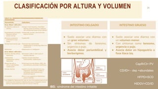 CLASIFICACIÓN POR ALTURA Y VOLUMEN 25
TAKUMA HAYASHI
President
CapR/CI= PV
CD/ID= - dep +abundates
HFPD=SCD
HIDGV=CD/ID
IBS: síndrome del intestino irritable´
 