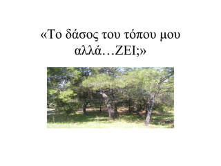 «Το δάσος του τόπου μου
     αλλά…ΖΕΙ;»
 