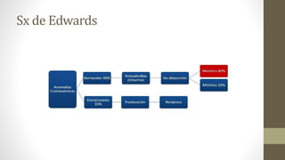 Sx de Edwards
 