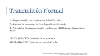 1.- Despolarización por la entrada de Calcio Extra Cel.
2.- Apertura de los canales de Na+ dependiente de voltaje
3.- Potencial de hiperrepolarización regulado por el GABA o por los conductos
de K+
DESPOLARIZACIÓN: Corriente de Na+ y Ca++
REPOLARIZACIÓN: Corriente entrante de Cl y K+
HARRISON. PRINCIPIOS DE MEDICINA INTERNA, 19E. DENNIS KASPER, ANTHONY FAUCI, STEPHEN
HAUSER, DAN LONGO, J. LARRY JAMESON, JOSEPH LOSCALZO.
 