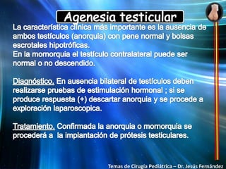  Bolsa escrotal poco desarrollada con disminución de pliegues cutáneos. 