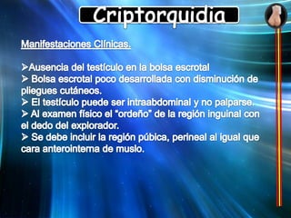 Criptorquidia 4% de los RNAT y 30%  RNPT