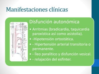 Manifestaciones clínicas 
Disfunción autonómica 
• Arritmias (bradicardia, taquicardia 
paroxística así como asistolia). 
• -Hipotensión ortostática. 
• - Hipertensión arterial transitoria o 
permanente. 
• - Íleo paralítico y disfunción vesical. 
• - relajación del esfínter. 
 