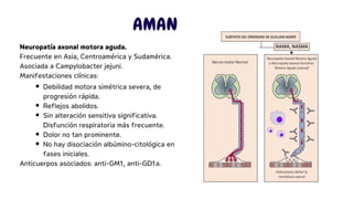 Sindrome de Landry-Guillain-Barré-Strohl | PDF