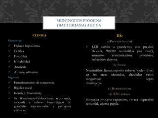 CLINICA
Síntomas
 Fiebre/ hipotermia
 Cefalea
 Fotofobia
 Irritabilidad
 Anorexia
 Astenia, adinamia
Signos:
 Enturbiamiento de conciencia
 Rigidez nucal
 Kernig y Brudzinsky
 Sx Waterhouse-Friderichsen: septicemia,
asociada a infarto hemorrágico de
glándulas suprarrenales y petequias
cutáneas.
MENINGITIS PIÓGENA
(BACTERIANA) AGUDA
DX:
a)Punción lumbar
 LCR turbio o purulento, con presión
elevada, 90,000 neutrófilos por mm3,
aumento concentración proteínas,
reducción glucosa.
b) Frotis
Neutrófilos: llenan espacio subaracnoideo (pus)
en las áreas afectadas, alrededor vasos
sanguíneos lepto
meníngeos.
c) Hemocultivos
d) TAC cráneo
Sospecha proceso expansivo, severa depresión
sensorial, edema papila.
 