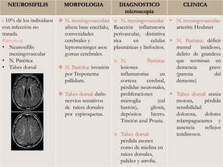 NEUROSIFILIS MORFOLOGIA DIAGNOSTICO
microscopia
CLINICA
- 10% de los individuos
con infección no
tratada.
Patrones:
• Neurosifilis
meningovascular
• N. Parética
• Tabes dorsal
 N. meningovascular:
afecta base encéfalo,
convexidades
cerebrales y
leptomeninges asoc
gomas cerebrales.
 N. Parética: invasión
por Treponema
pallidum.
 Tabes dorsal: daño
nervios sensitivos
de raíces dorsales
por espiroquetas.
o N. meningovascular
Reacción inflamatoria
perivascular, distintiva
rica en celulas
plasmáticas y linfocitos.
o N. Parética:
lesiones
inflamatorias en
corteza cerebral,
pérdidas neuronales,
proliferaciones
microglia (cel
bastón), gliosis,
depósitos hierro.
Tinción azul Prusia.
o Tabes dorsal:
pérdida axones
como de mielina en
raíces dorsales,
palidez y atrofia.
• N. meningovascular:
arteritis Heubner
 N. Parética: déficit
mental insidioso,
delirio de grandeza
que terminan en
demencia grave
(paresia del
demente)
 Tabes dorsal: ataxia
motora, pérdida
sensibilidad
dolorosa, dolores
relampagueantes y
ausencia reflejos
tendinosos.
 