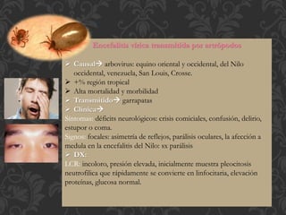 Encefalitis vírica transmitida por artrópodos
 Causal arbovirus: equino oriental y occidental, del Nilo
occidental, venezuela, San Louis, Crosse.
 +% región tropical
 Alta mortalidad y morbilidad
 Transmitido garrapatas
 Clínica
Síntomas: déficits neurológicos: crisis comiciales, confusión, delirio,
estupor o coma.
Signos: focales: asimetría de reflejos, parálisis oculares, la afección a
medula en la encefalitis del Nilo: sx parálisis
 DX:
LCR: incoloro, presión elevada, inicialmente muestra pleocitosis
neutrofilica que rápidamente se convierte en linfocitaria, elevación
proteínas, glucosa normal.
 