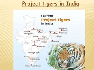 ' Project tiger ’ | PPTX