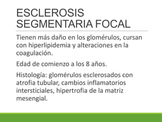 ESCLEROSIS
SEGMENTARIA FOCAL
Tienen más daño en los glomérulos, cursan
con hiperlipidemia y alteraciones en la
coagulación.
Edad de comienzo a los 8 años.
Histología: glomérulos esclerosados con
atrofia tubular, cambios inflamatorios
intersticiales, hipertrofia de la matriz
mesengial.
 