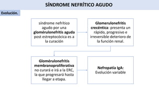 Evolución.
síndrome nefrítico
agudo por una
glomérulonefritis aguda
post estreptocócica es a
la curación
Glomerulonefritis
crecéntica: presenta un
rápido, progresivo e
irreversible deterioro de
la función renal.
Glomérulonefritis
membranoproliferativa
no curará e irá a la ERC,
la que progresará hasta
llegar a etapa.
Nefropatía IgA:
Evolución variable
SÍNDROME NEFRÍTICO AGUDO
 