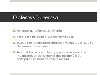 Esclerosis Tuberosa
 Herencia autosómica dominante.
 Afecta a 1 de cada 15000 recién nacidos.
 100% de penetrancia, expresividad variable, y un 60-75%
de nuevas mutaciones.
 Se considera un complejo que puede ser debido a
mutaciones en por lo menos dos loci genéticos
principales, situados en 9q34 y 16p13.3.
 