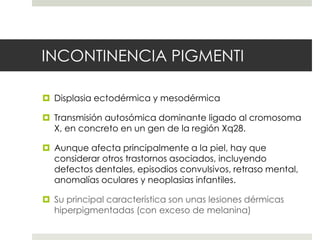 INCONTINENCIA PIGMENTI
 Displasia ectodérmica y mesodérmica
 Transmisión autosómica dominante ligado al cromosoma
X, en concreto en un gen de la región Xq28.
 Aunque afecta principalmente a la piel, hay que
considerar otros trastornos asociados, incluyendo
defectos dentales, episodios convulsivos, retraso mental,
anomalías oculares y neoplasias infantiles.
 Su principal característica son unas lesiones dérmicas
hiperpigmentadas (con exceso de melanina)
 