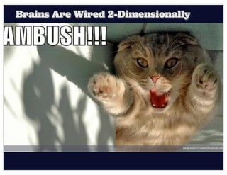 Brains Are Wired 2-Dimensionally




                              Image Source © icanhascheezburger.com
 