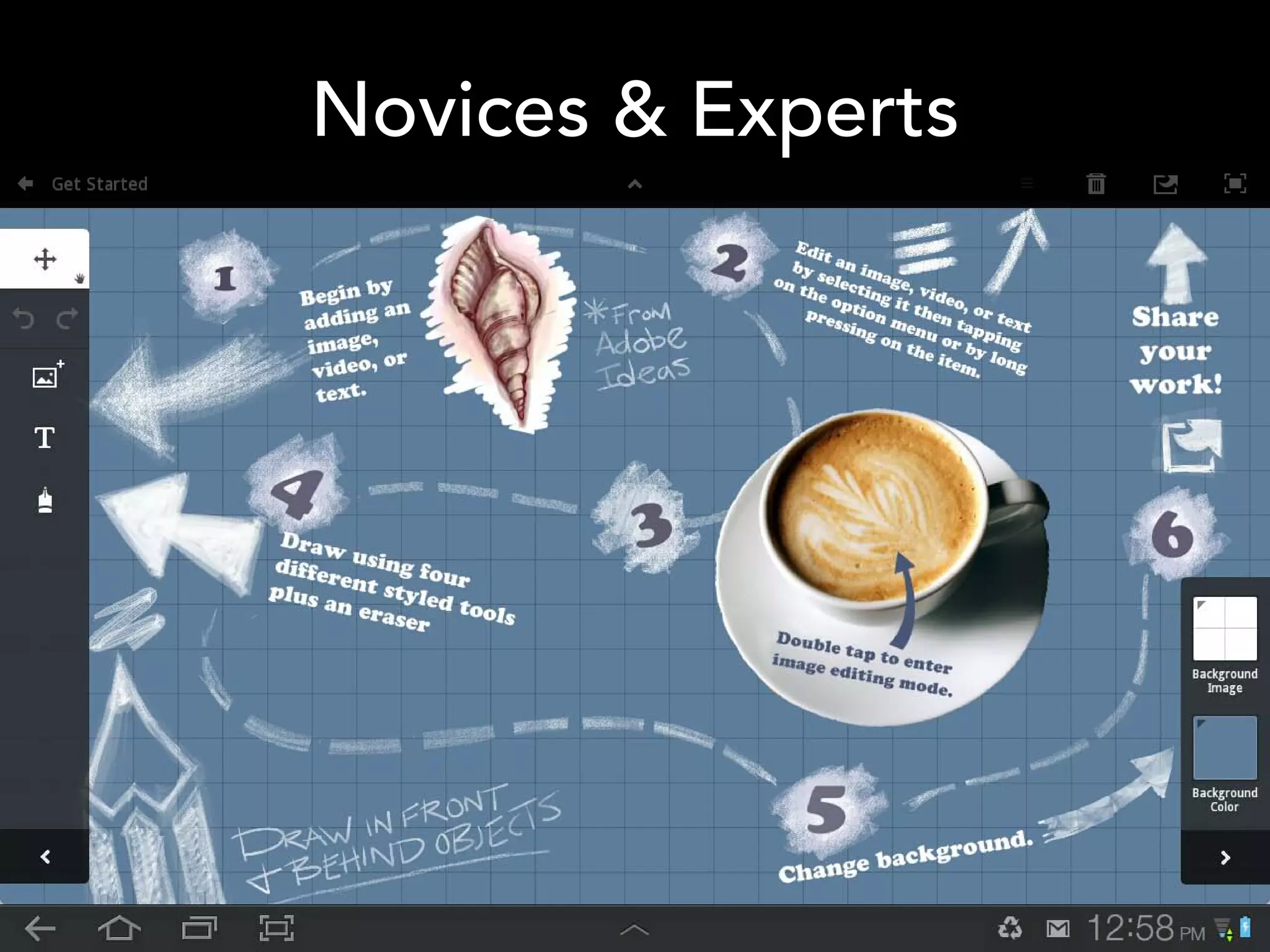 Novices & Experts
 