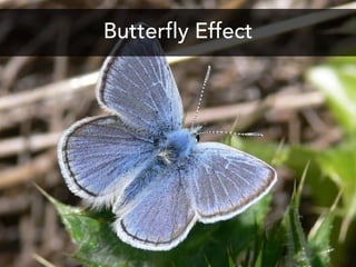 Butterfly Effect
 