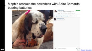 Mophie rescues the powerless with Saint Bernards
bearing batteries
Source: Mashable / Chris Taylor
 