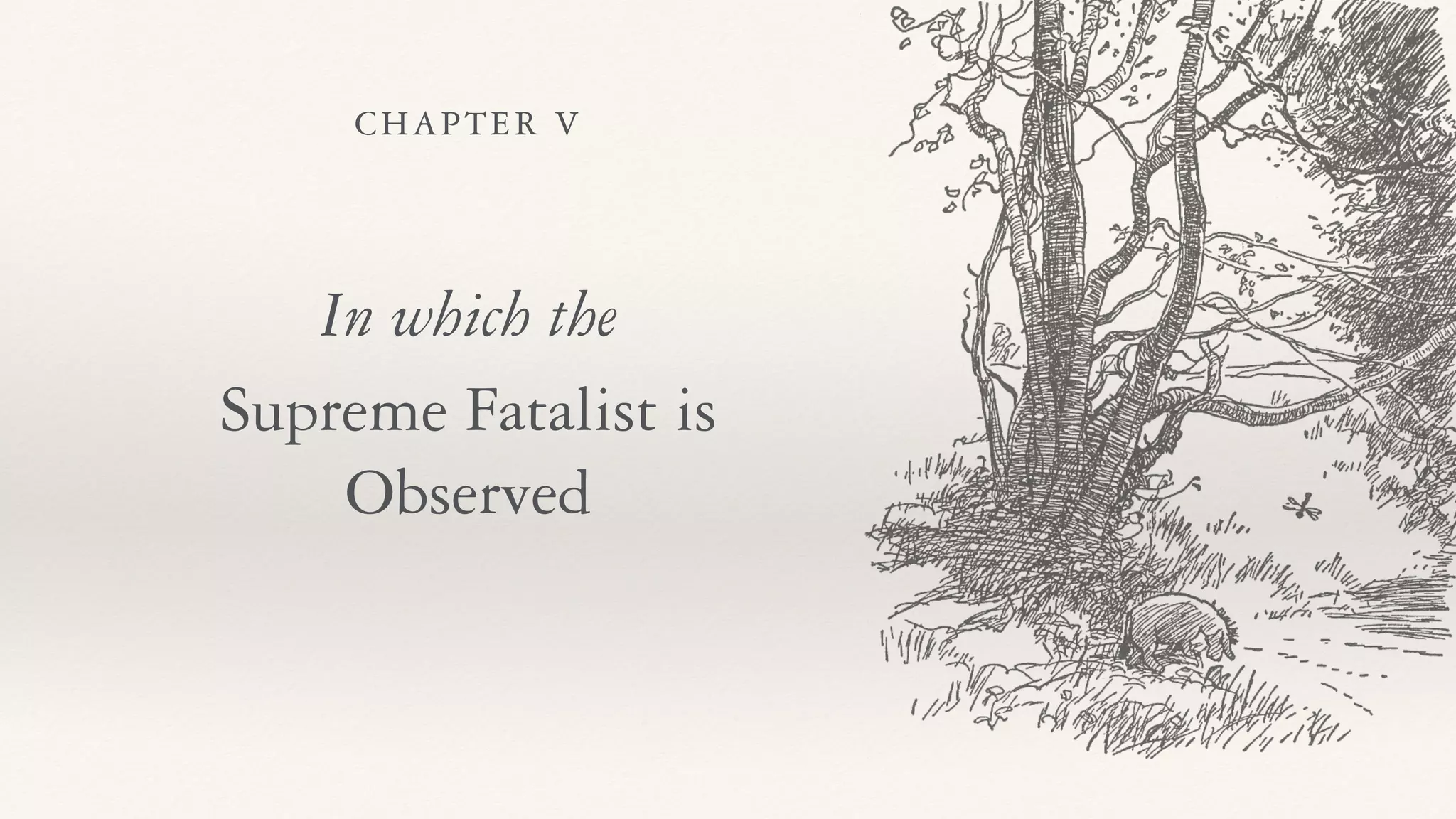CHAPTER V
In which the
Supreme Fatalist is
Observed
 