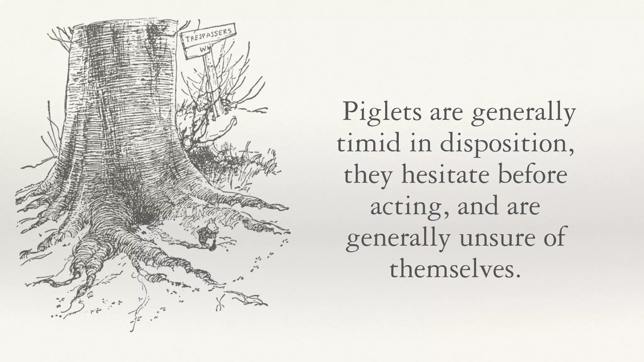 Piglets are generally
timid in disposition,
they hesitate before
acting, and are
generally unsure of
themselves.
 
