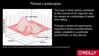 Fitness Landscapes
The way in which genes contribute
to the survival of an organism can
be viewed as a landscape of peaks
and valleys.
Through a series of experiments,
organisms evolve towards fitness
peaks, adapted to a particular
environment, or they die out.
Image source: http://evolution.berkeley.edu/evolibrary/article/side_0_0/complexnovelties_02
 