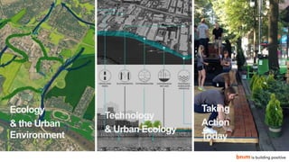 The Ecology of Site, Urban Edition | PPTX