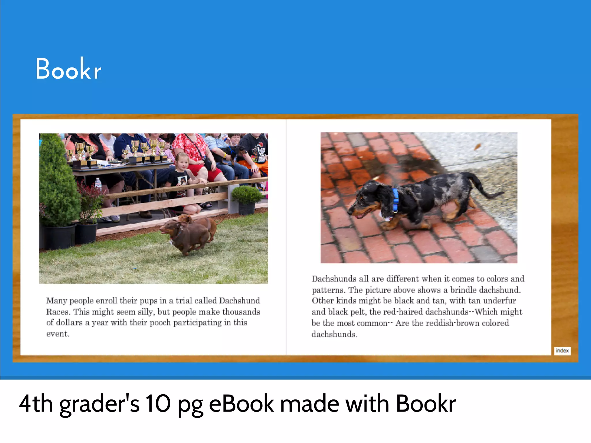 Bookr




4th grader's 10 pg eBook made with Bookr
 