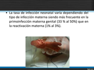 • La tasa de infección neonatal varía dependiendo del
  tipo de infección materna siendo más frecuente en la
  primoinfección materna genital (33 % al 50%) que en
  la reactivación materna (1% al 3%).
 