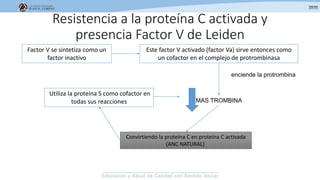 Resistencia a la proteína C activada y
presencia Factor V de Leiden
Factor V se sintetiza como un
factor inactivo
Este factor V activado (factor Va) sirve entonces como
un cofactor en el complejo de protrombinasa
enciende la protrombina
MAS TROMBINA
Convirtiendo la proteína C en proteína C activada
(ANC NATURAL)
Utiliza la proteína S como cofactor en
todas sus reacciones
 