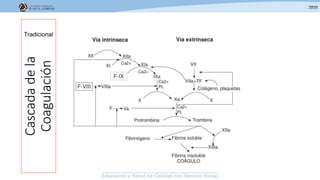 Cascadadela
Coagulación
Tradicional
 