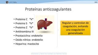 Proteínas anticoagulantes
• Proteina C *k*
• Proteina S *k*
• Proteina Z *k*
• Antitrombina III
• Prostaciclina: endotelio
• Oxido nítrico: endotelio
• Heparina: mastocito
Regulan y controlan de
coagulación, evitando
una coagulación
generalizada
 