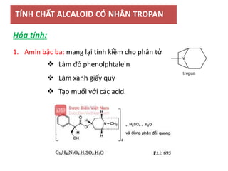 TÍNH CHẤT ALCALOID CÓ NHÂN TROPAN
1. Amin bậc ba: mang lại tính kiềm cho phân tử
 Làm đỏ phenolphtalein
 Làm xanh giấy quỳ
 Tạo muối với các acid.
Hóa tính:
 
