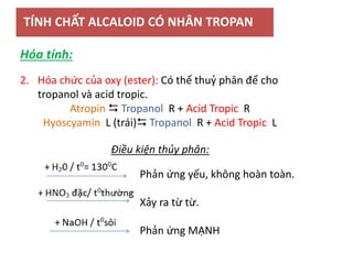 TÍNH CHẤT ALCALOID CÓ NHÂN TROPAN
2. Hóa chức của oxy (ester): Có thể thuỷ phân để cho
tropanol và acid tropic.
Atropin  Tropanol R + Acid Tropic R
Hyoscyamin L (trái) Tropanol R + Acid Tropic L
Hóa tính:
Phản ứng yếu, không hoàn toàn.
Xảy ra từ từ.
Phản ứng MẠNH
Điều kiện thủy phân:
 