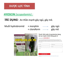 DƯỢC LỰC TÍNH
HYOSCIN (scopolamin) :
TÁC DỤNG: An thần mạnh gây ngủ, gây mê.
Muối hydrobromid + morphin gây ngủ
+ cloroform gây mê
 