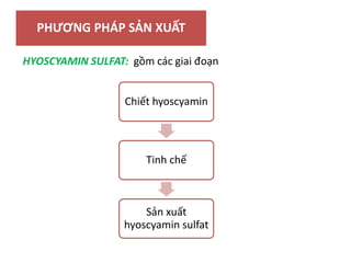 PHƯƠNG PHÁP SẢN XUẤT
HYOSCYAMIN SULFAT: gồm các giai đoạn
Chiết hyoscyamin
Tinh chế
Sản xuất
hyoscyamin sulfat
 