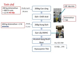 Tinh chế
200 kg diclomethan + 2 lít
amoniac
200kg Cao Lỏng
Dịch Chiết Acid
200g Dung Dịch
Gạn Lấy DMHC
Alcaloid dạng Muối
Base
Hyoscyamin Thô
200 kg diclomethan
+ 400 lít nước
+ 1,5 lít HCl đặc
LẤY :lớp trên
Diclomethan
+ tạp
 