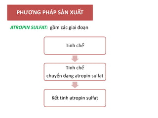 PHƯƠNG PHÁP SẢN XUẤT
ATROPIN SULFAT: gồm các giai đoạn
Tinh chế
Tinh chế
chuyển dạng atropin sulfat
Kết tinh atropin sulfat
 