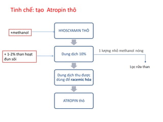 Tinh chế: tạo Atropin thô
HYOSCYAMIN THÔ
Dung dịch 10%
Dung dịch thu được
dùng để racemic hóa
ATROPIN thô
+methanol
+ 1-2% than hoạt
đun sôi
 