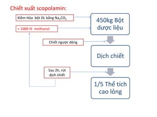 Chiết xuất scopolamin:
450kg Bột
dược liệu
Dịch chiết
1/5 Thể tích
cao lỏng
Kiềm Hóa bột DL bằng Na2CO3
Chiết ngược dòng
Sau 2h, rút
dịch chiết
+ 1000 lít methanol
 