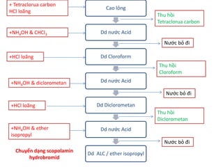 Cao lỏng
Dd nước Acid
Dd Cloroform
Dd nước Acid
Dd Diclorometan
Dd nước Acid
Dd ALC / ether isopropyl
+ Tetraclorua carbon
HCl loãng
+NH4OH & CHCl3
+HCl loãng
+HCl loãng
+NH4OH & diclorometan
+NH4OH & ether
isopropyl
Thu hồi
Tetraclorua carbon
Nước bỏ đi
Thu hồi
Cloroform
Nước bỏ đi
Thu hồi
Diclorometan
Nước bỏ đi
Chuyển dạng scopolamin
hydrobromid
 