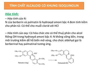 TÍNH CHẤT ALCALOID CÓ KHUNG ISOQUINOLIN
– Hóa tính của N:
N của berberin và palmatin là hydroxyd amoni bậc 4 đem tính kiềm
cho phân tử. Có thể cho muối clorid với HCl
– Hóa tính của oxy: Có hóa chức ete có thể thuỷ phân cho alcol
Riêng OH trong hydroxyd amoni bậc 4: N không vững bền, trong
môi trường kiềm dễ hỗ biến mở vòng, cho chức aldehyd gọi là
berberinal hay palmatinal tương ứng.
Hóa tính:
 