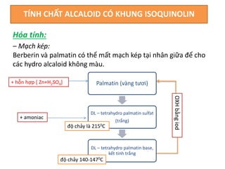 TÍNH CHẤT ALCALOID CÓ KHUNG ISOQUINOLIN
– Mạch kép:
Berberin và palmatin có thể mất mạch kép tại nhân giữa để cho
các hydro alcaloid không màu.
Hóa tính:
Palmatin (vàng tươi)
DL – tetrahydro palmatin sulfat
(trắng)
DL – tetrahydro palmatin base,
kết tinh trắng
+ hỗn hợp [ Zn+H2SO4]
+ amoniac
độ chảy là 2150C
độ chảy 140-1470C
OXH
bằng
iod
 