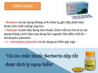 – Berberin có tác dụng kháng sinh chữa lỵ, gần đây phát hiện
được tính chất chống ung thư.
– Palmatin trước đây dùng làm thuốc chữa mắt (vì cho là có tác
dụng kháng sinh) hiện nay dùng làm nguyên liệu điều chế DL –
tetrahydro palmatin.
– L – tetrahydro palmatin có tác dụng an thần gây ngủ.
CÔNG DỤNG
 