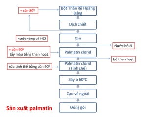 Bột Thân Rễ Hoàng
Đằng
Dịch chiết
Cặn
Palmatin clorid
Palmatin clorid
(Tinh chế)
Sấy ở 600C
Cạo vỏ ngoài
Đóng gói
+ cồn 800
nước nóng và HCl
+ cồn 900
tẩy màu bằng than hoạt
Nước bỏ đi
bỏ than hoạt
rửa tinh thể bằng cồn 900
Sản xuất palmatin
 