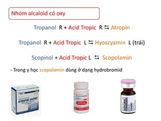 Nhóm alcaloid có oxy
Tropanol R + Acid Tropic R  Atropin
Tropanol R + Acid Tropic L  Hyoscyamin L (trái)
Scopinol + Acid Tropic L  Scopolamin
- Trong y học scopolamin dùng ở dạng hydrobromid
 