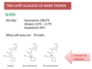 TÍNH CHẤT ALCALOID CÓ NHÂN TROPAN
Độ chảy: Hyoscyamin 108,50C
Atropin 1150C – 1170C
Scopolamin 590C
Năng suất quay cực: Tả tuyền.
Lý tính:
(-) atropin là
racemic
 